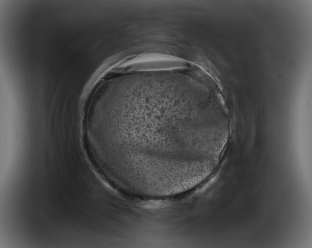 X0000083570101200703021758