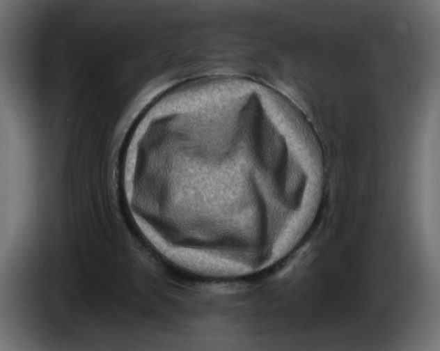 X0000083570103200703021758