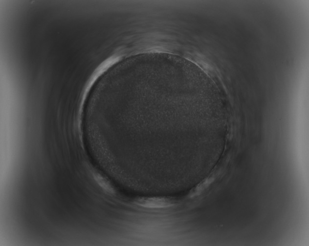 X0000083570104200703021758