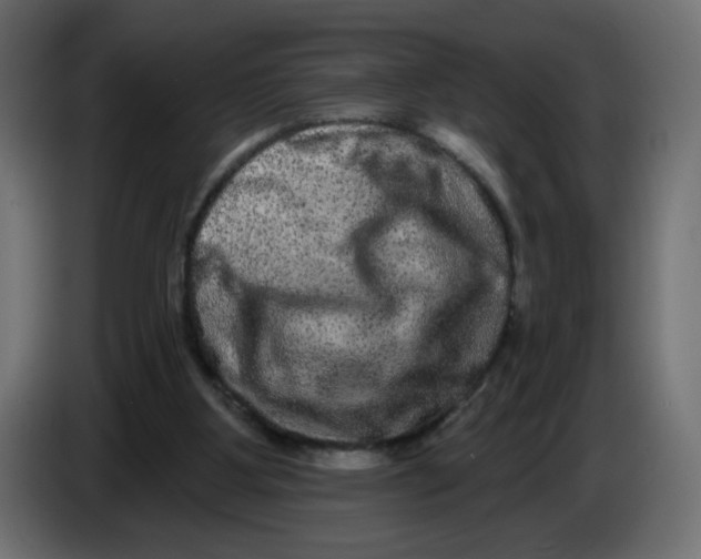 X0000083570107200703021758