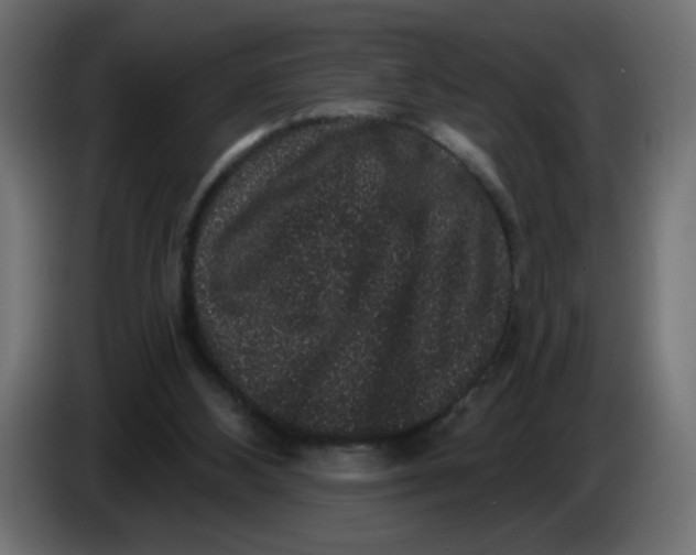 X0000083570108200703021758