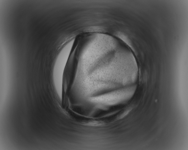 X0000083570109200703021758