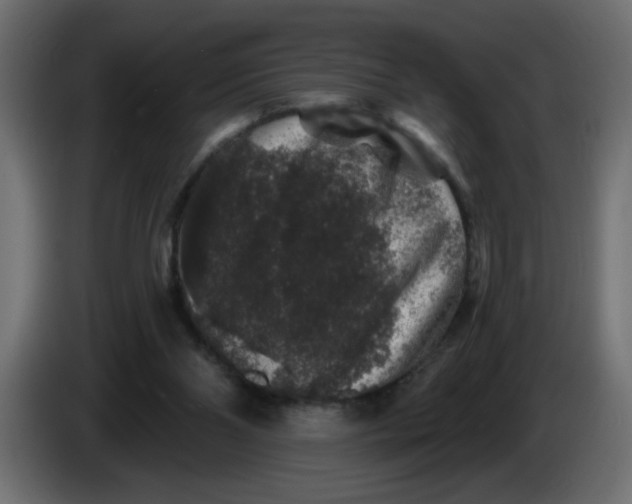 X0000083570110200703021757