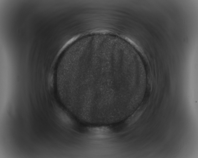 X0000083570112200703021757