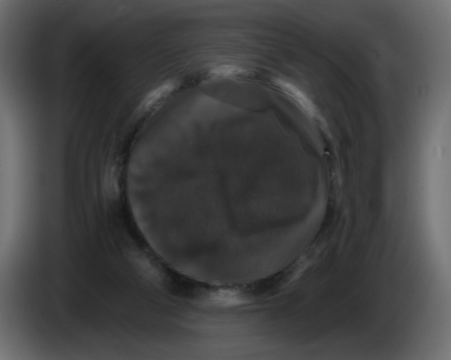 X0000083570114200703021757
