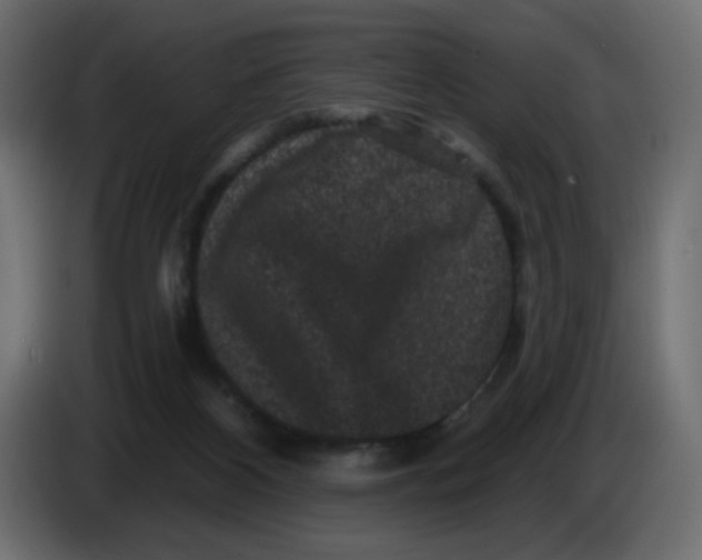 X0000083570116200703021757