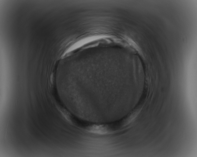 X0000083570117200703021757