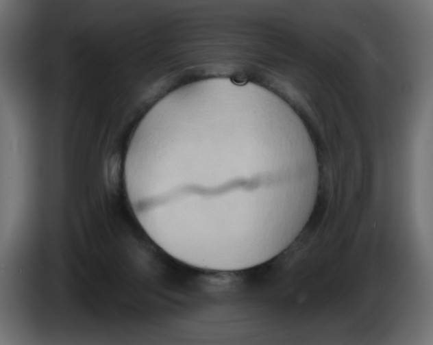 X0000083570118200703021757