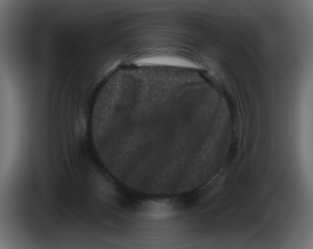 X0000083570120200703021757