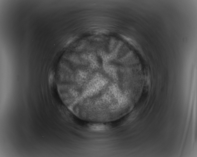 X0000083570123200703021757