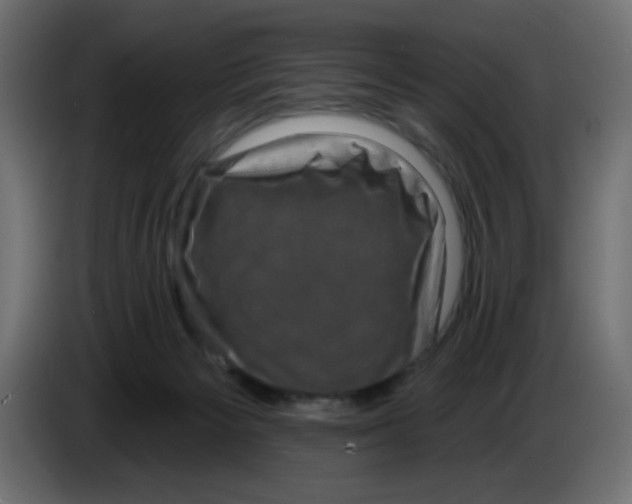 X0000083570125200703021757