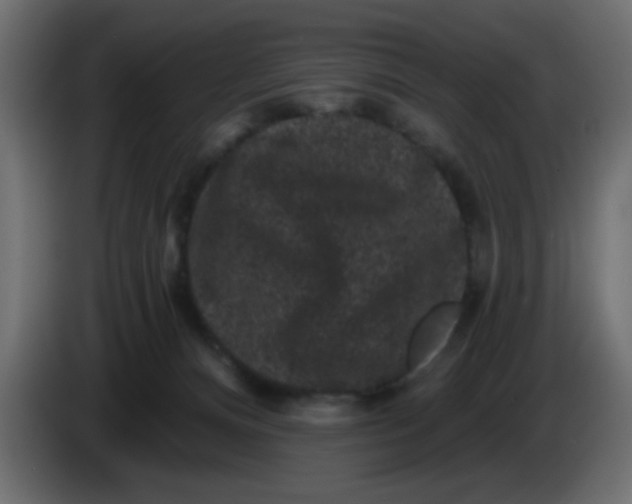X0000083570128200703021757