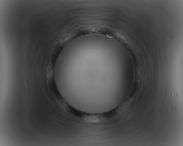 X0000083570129200703021757