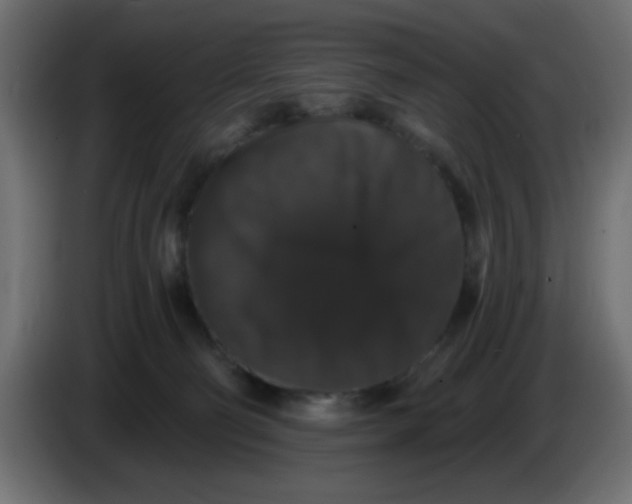 X0000083570130200703021757