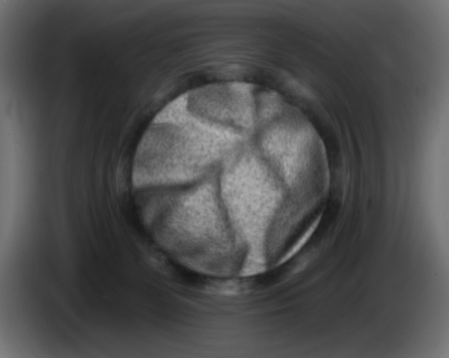 X0000083570131200703021757