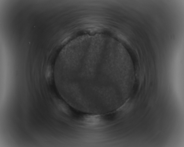 X0000083570132200703021757