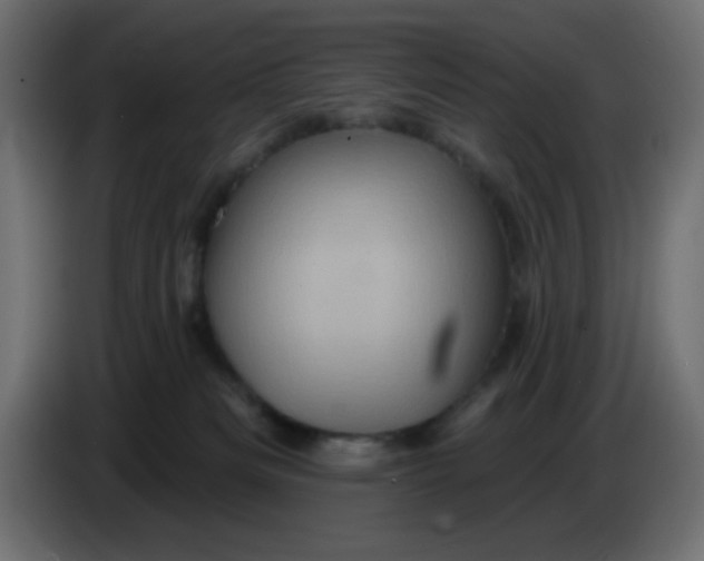 X0000083570133200703021757