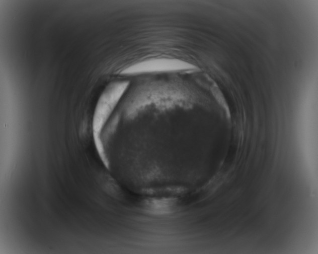 X0000083570134200703021757