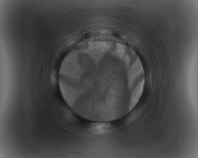 X0000083570135200703021757