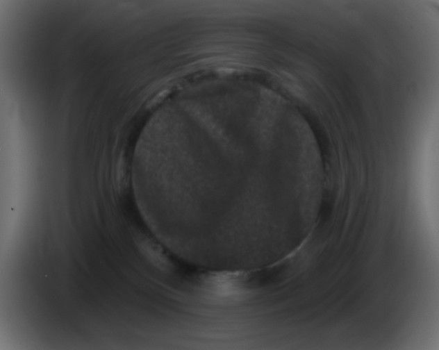 X0000083570136200703021757
