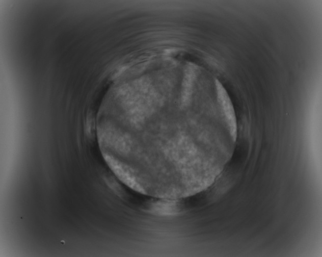 X0000083570138200703021757