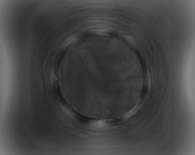 X0000083570140200703021757