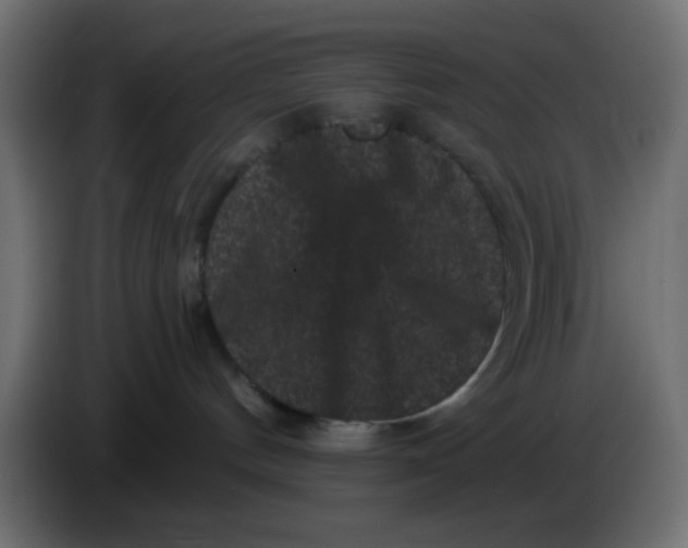 X0000083570144200703021757