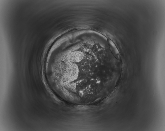 X0000083570145200703021756