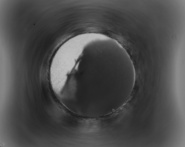 X0000083570146200703021756