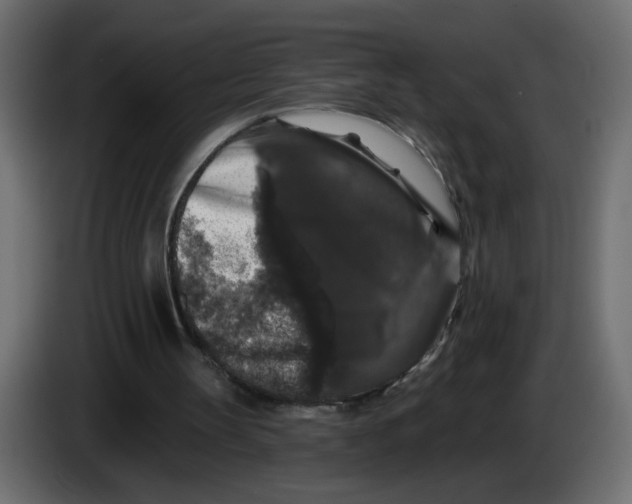X0000083570147200703021756