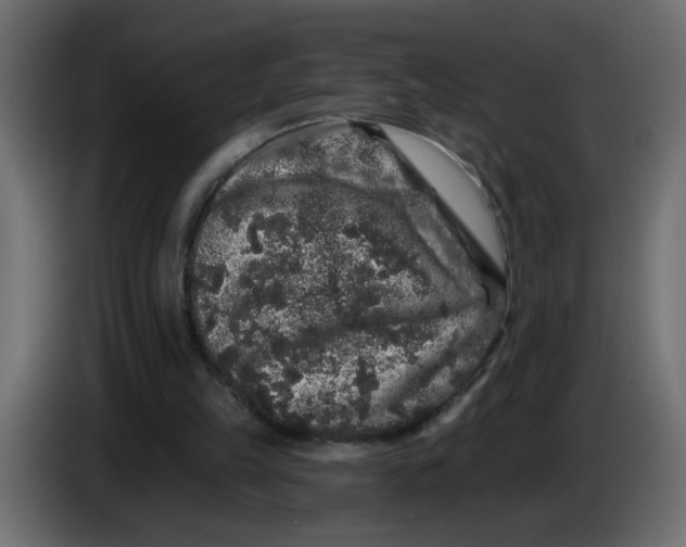 X0000083570149200703021756
