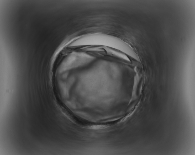 X0000083570150200703021756
