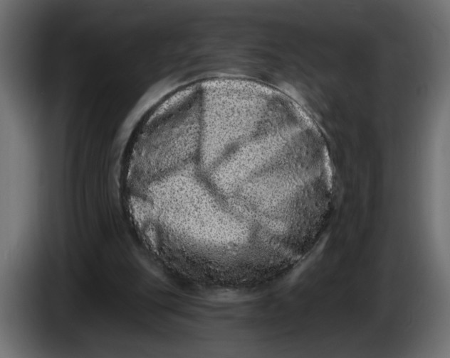 X0000083570151200703021756