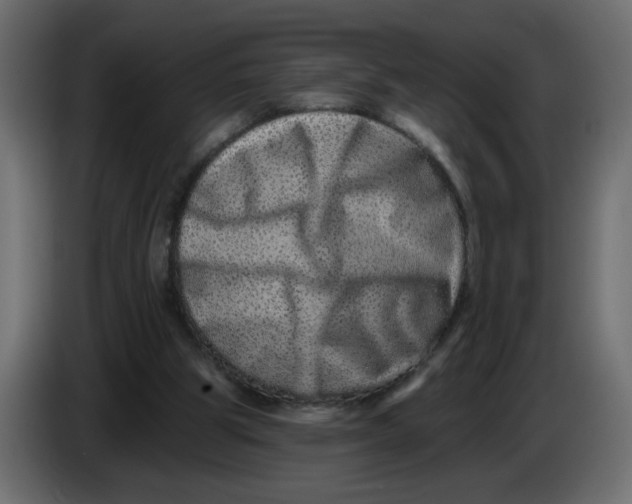X0000083570153200703021756