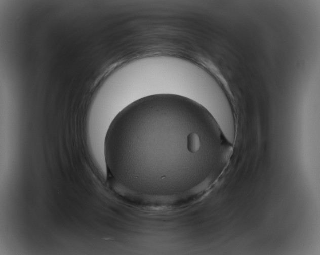 X0000083570154200703021756