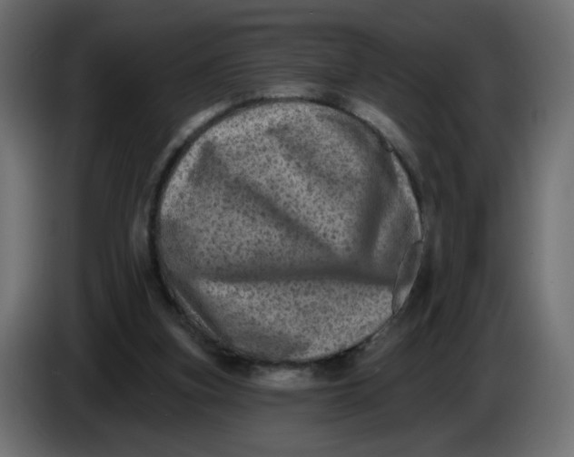 X0000083570155200703021756