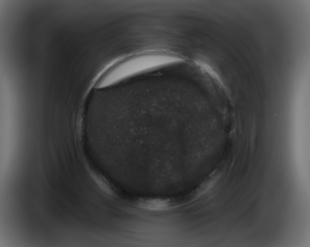 X0000083570156200703021756