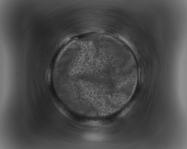 X0000083570157200703021756