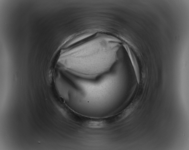 X0000083570160200703021756