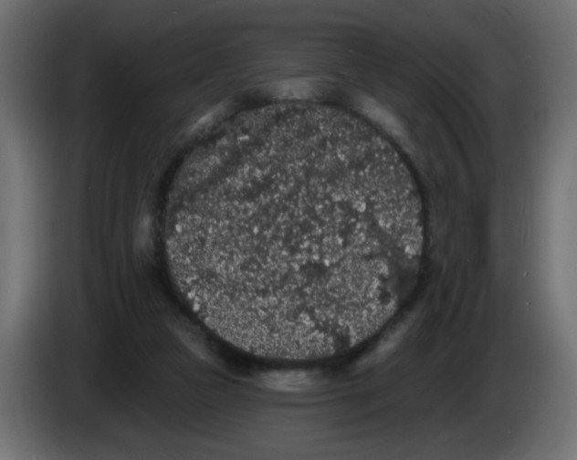 X0000083570161200703021756