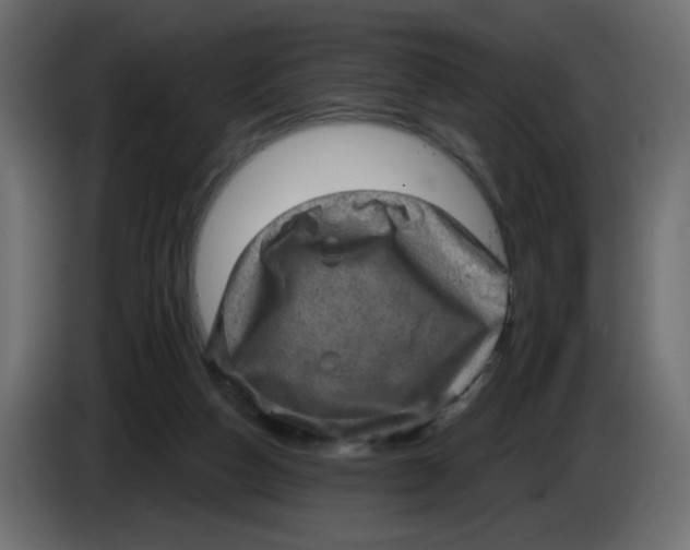 X0000083570162200703021756