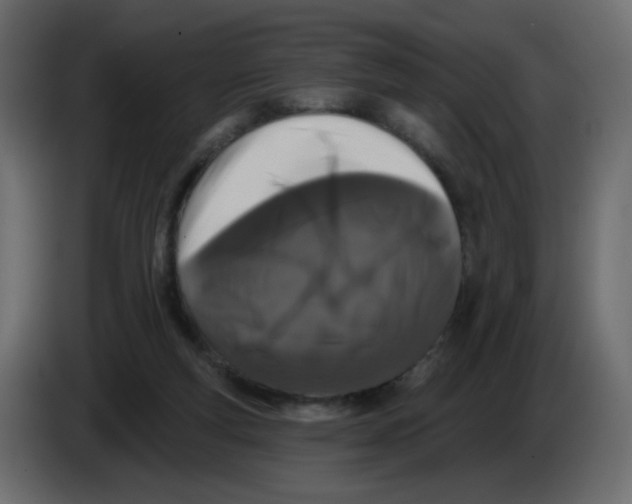 X0000083570163200703021756