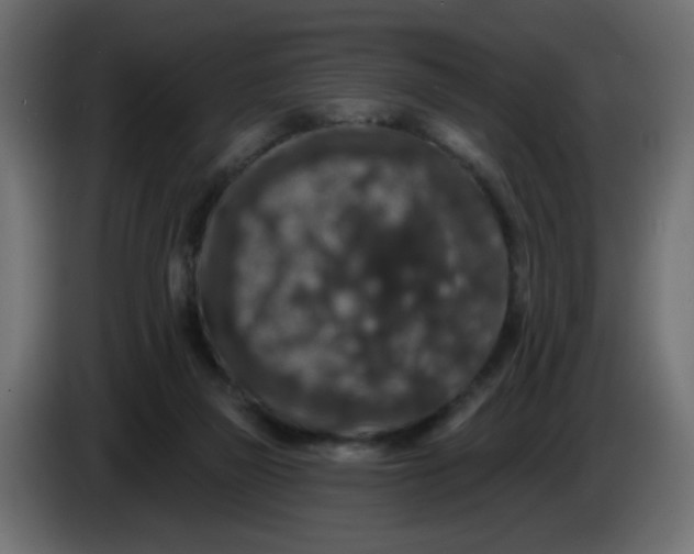 X0000083570165200703021756