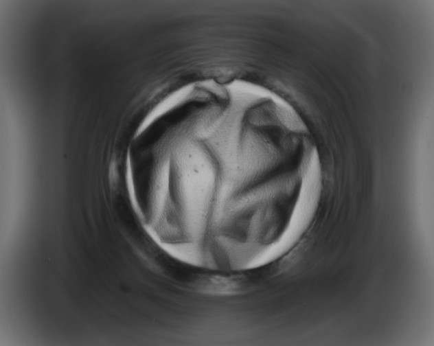 X0000083570166200703021756