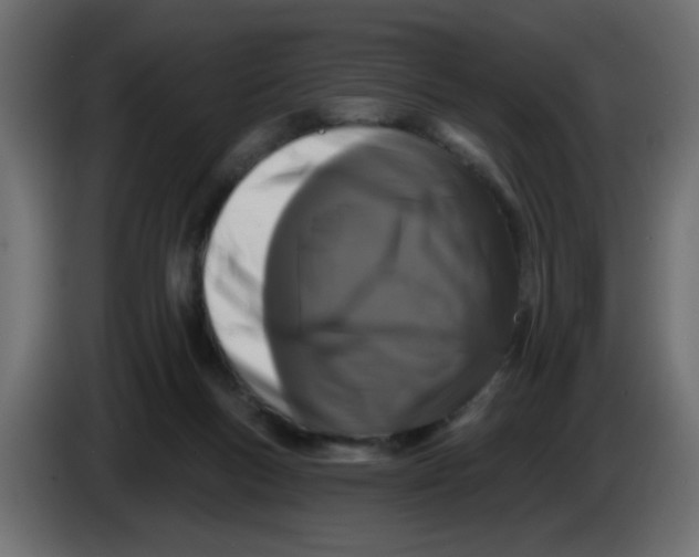 X0000083570167200703021756