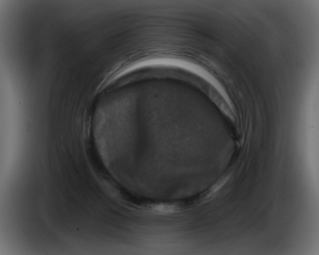 X0000083570168200703021756