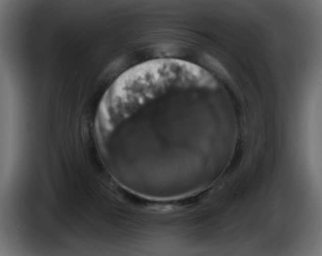 X0000083570169200703021756
