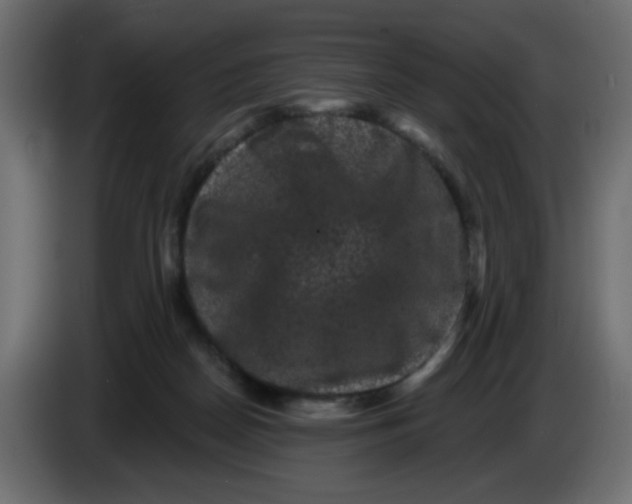 X0000083570170200703021756