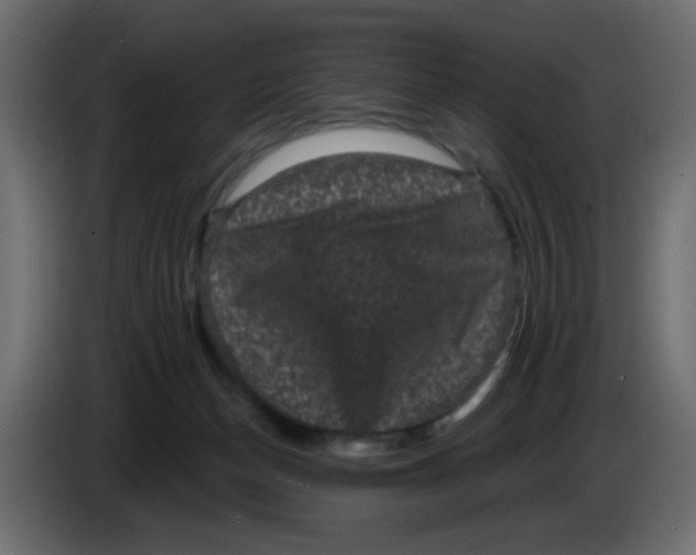 X0000083570174200703021757