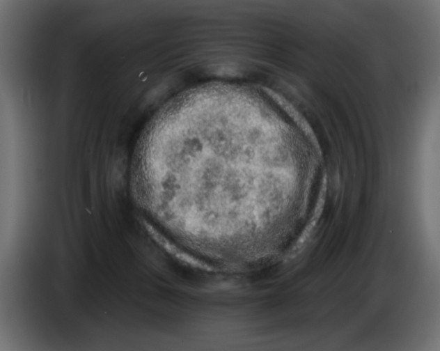 X0000083570175200703021757